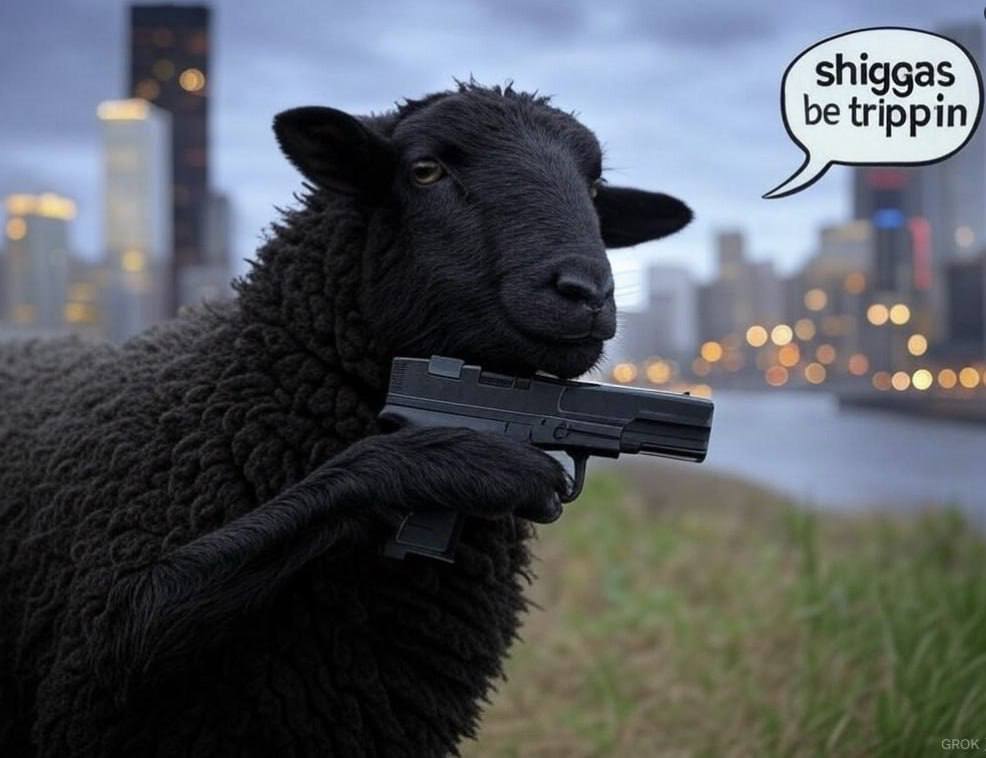 _CryptoHunting's tweet image. $shigga you know what time it is