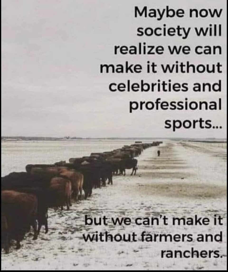 TrueTexasBAM's tweet image. 