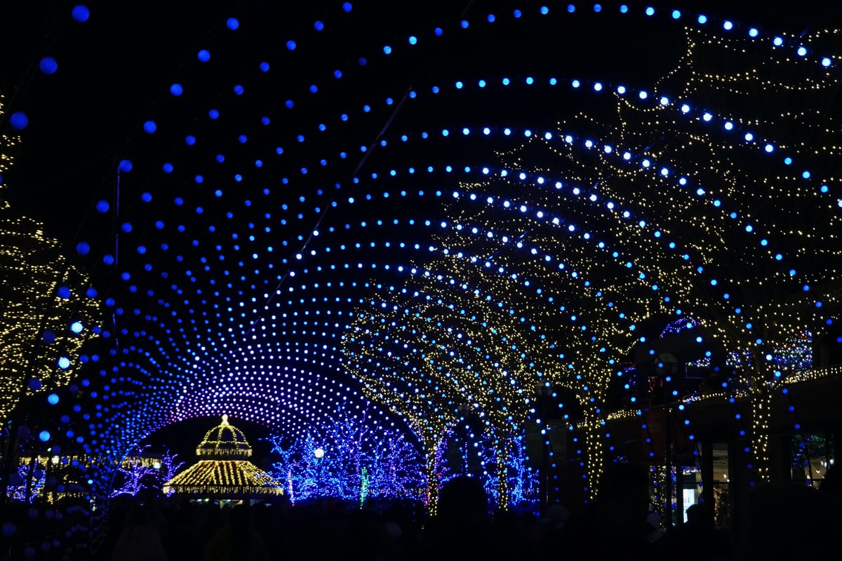 That's all, folks! ZooLights Presented by ComEd and Invesco QQQ season is officially over.

Thank you so much to our sponsors, ComEd, Invesco QQQ, Reyes Coca-Cola Bottling Company, 101.9 the Mix! We couldn't have made it all happen without you. ✨