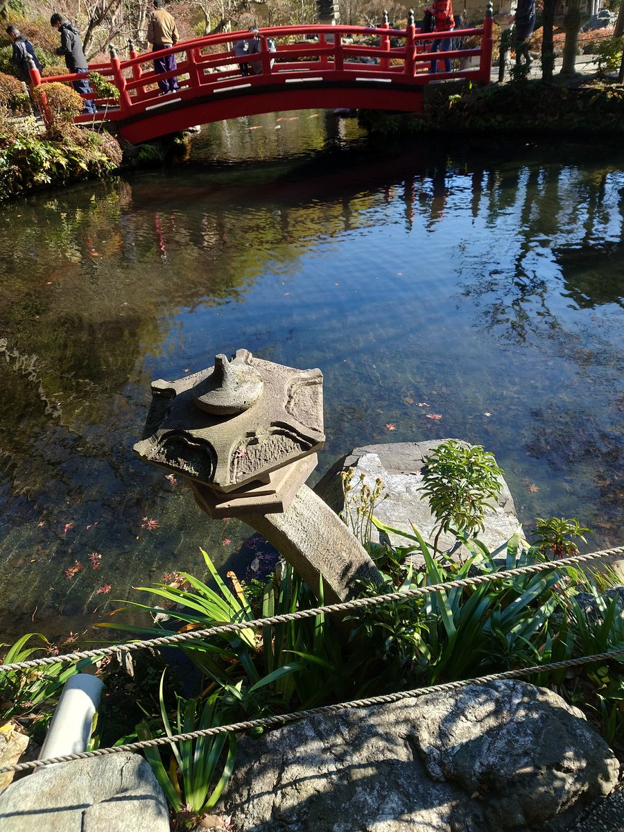 貫井神社は、今年の蛇年の最強の運気をもたらす神社らしい✨️