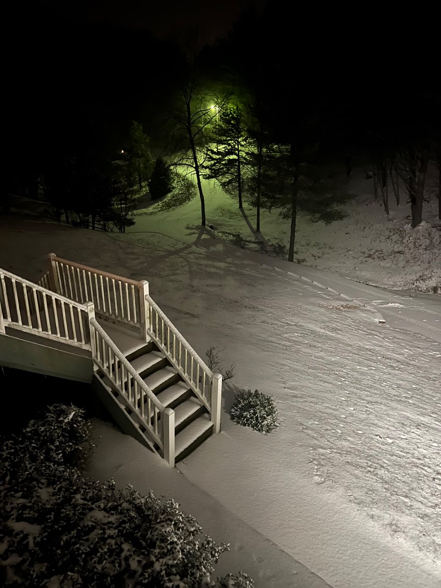 Looking towards Naff Road very serene. Driveway completely covered