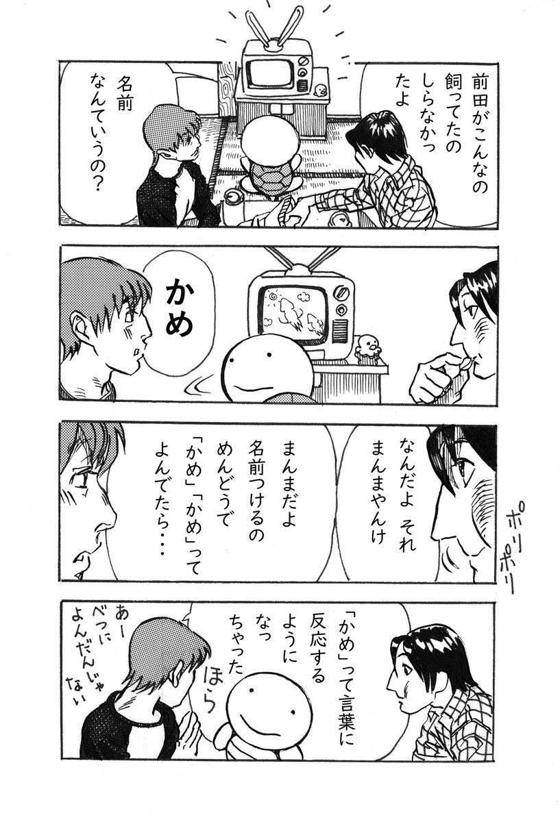 Blueskyでもアカウント始めてみました。
「ながいさわこ」でやっております。
最近(もとからですが)なかなかツイート(とはもう言わないのですが)出来ないので、「かめリサイクル」でも定期的にアップすることにします。
「もう見たよ」と思われることでしょう。
申し訳ありません。