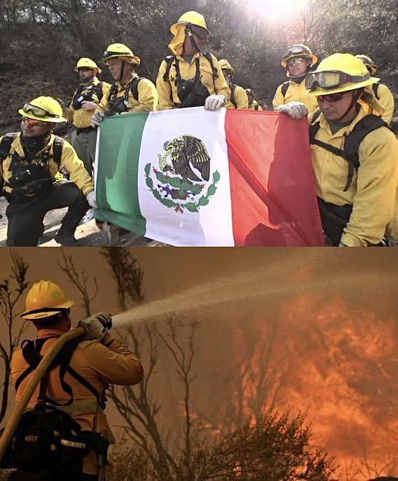 100+ Mexican firefighters went to Los Angeles to help fight the massive California wildfires