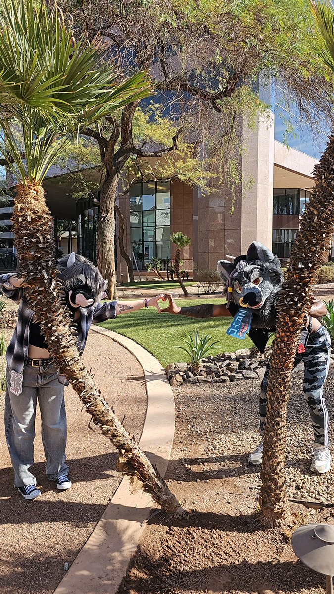 PartyWolfZayn's tweet image. It’s fursuit Friday and mentally I’m still at #PDFC2025 pretending to be a silly little wolf
