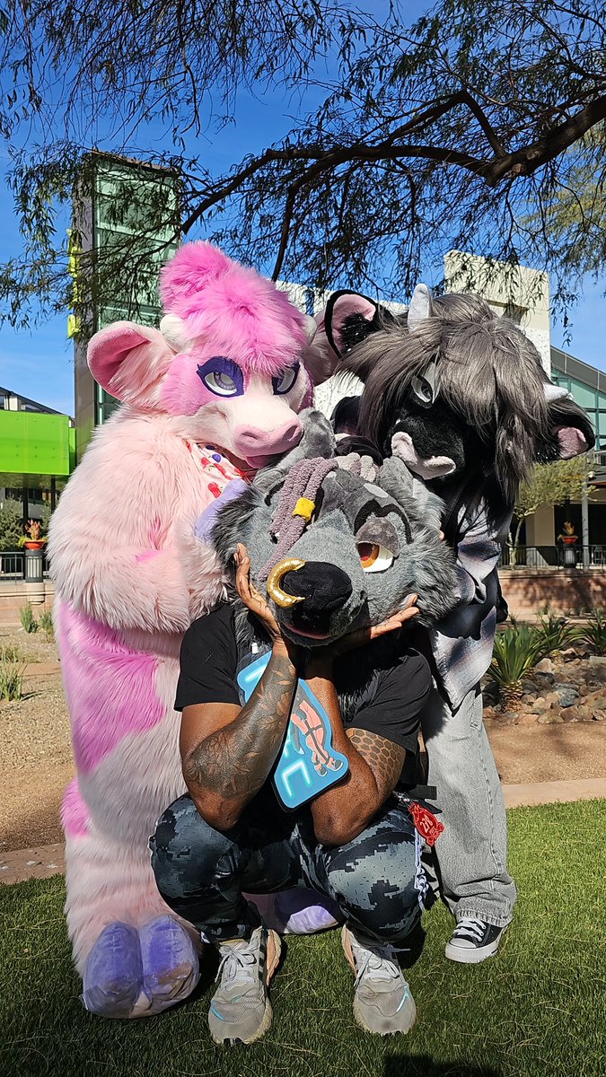 PartyWolfZayn's tweet image. It’s fursuit Friday and mentally I’m still at #PDFC2025 pretending to be a silly little wolf