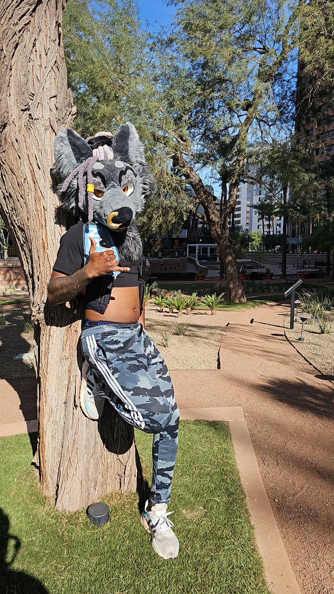 PartyWolfZayn's tweet image. It’s fursuit Friday and mentally I’m still at #PDFC2025 pretending to be a silly little wolf