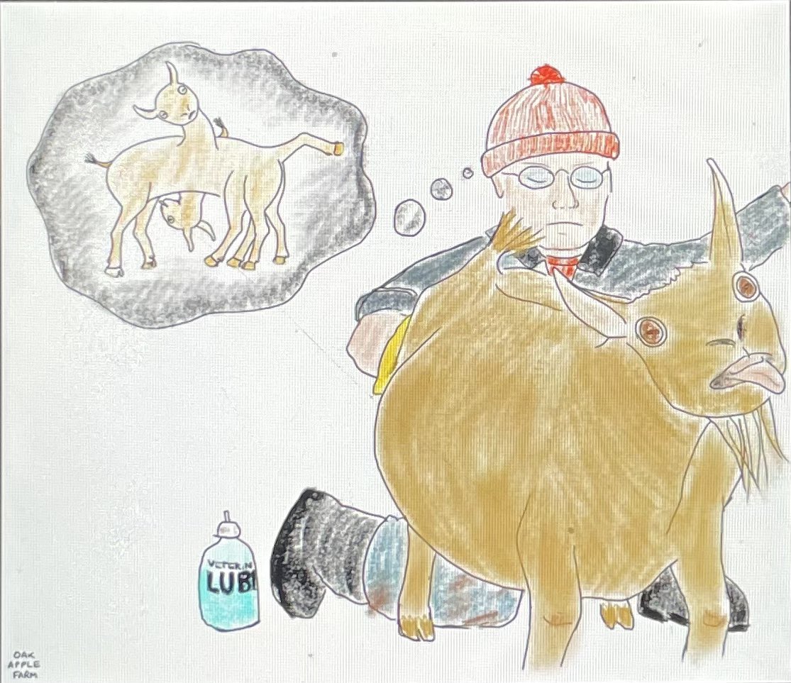 TrueTexasBAM's tweet image. The joys of owning goats during kidding season.

If you know, YOU KNOW.
🫣

Agriculture Rocks!