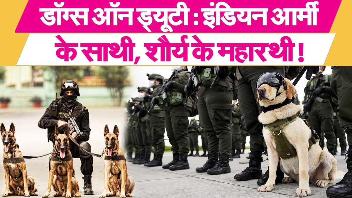 Manchh_Official's tweet image. इंडियन आर्मी के वफादार डॉग्स वॉर जोऩ के असली 'शेर' #indianarmy #armydogs #defence #militarydogs #dogsunit #defence 

Watch YouTube Video: youtu.be/P8rwQcfpqAA
Watch Facebook Video: fb.watch/w-3nZvqDm0/