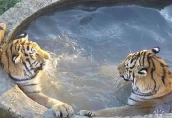 naiivememe's tweet photo. Crypto Guys waiting for 20 Jan https://t.co/hjrrY45FUl