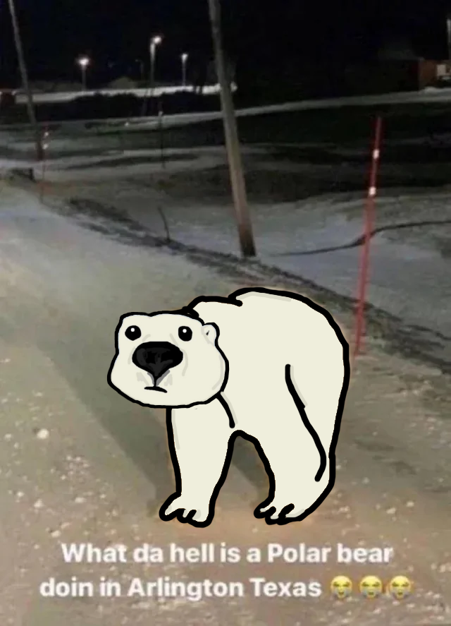 What the Hell is a Polor BOOR$ doing in doin in Arlington Texas