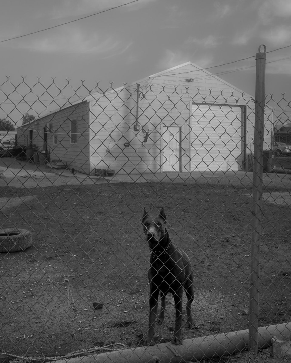 Dad wilder (@dadwilder1) on Twitter photo 