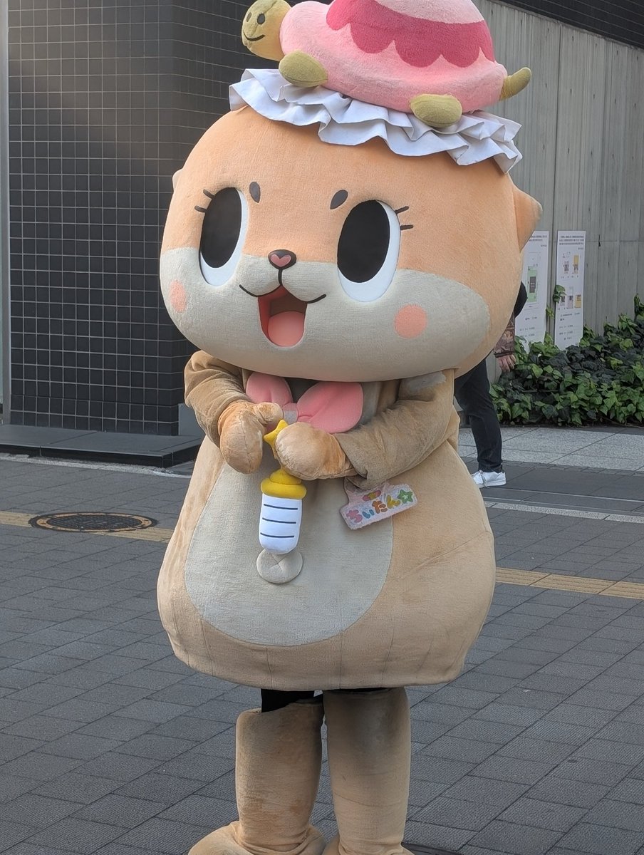 Was walking around Akiba when I saw Chiitan