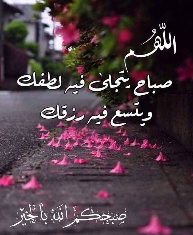 🍃🌼🍃🌼🍃

اللَّهم أجعل لنا مع نسمات هذا الصباح.. رزقا وسعادة وعافية وتوفيقًا في الدنيا والأخره اللهم امين 

صباح الخير والسعادة 🍃🌼
#صباح_الخير 🌱🌱
#صباح_الاجواء_الحلوه 🍃🌼