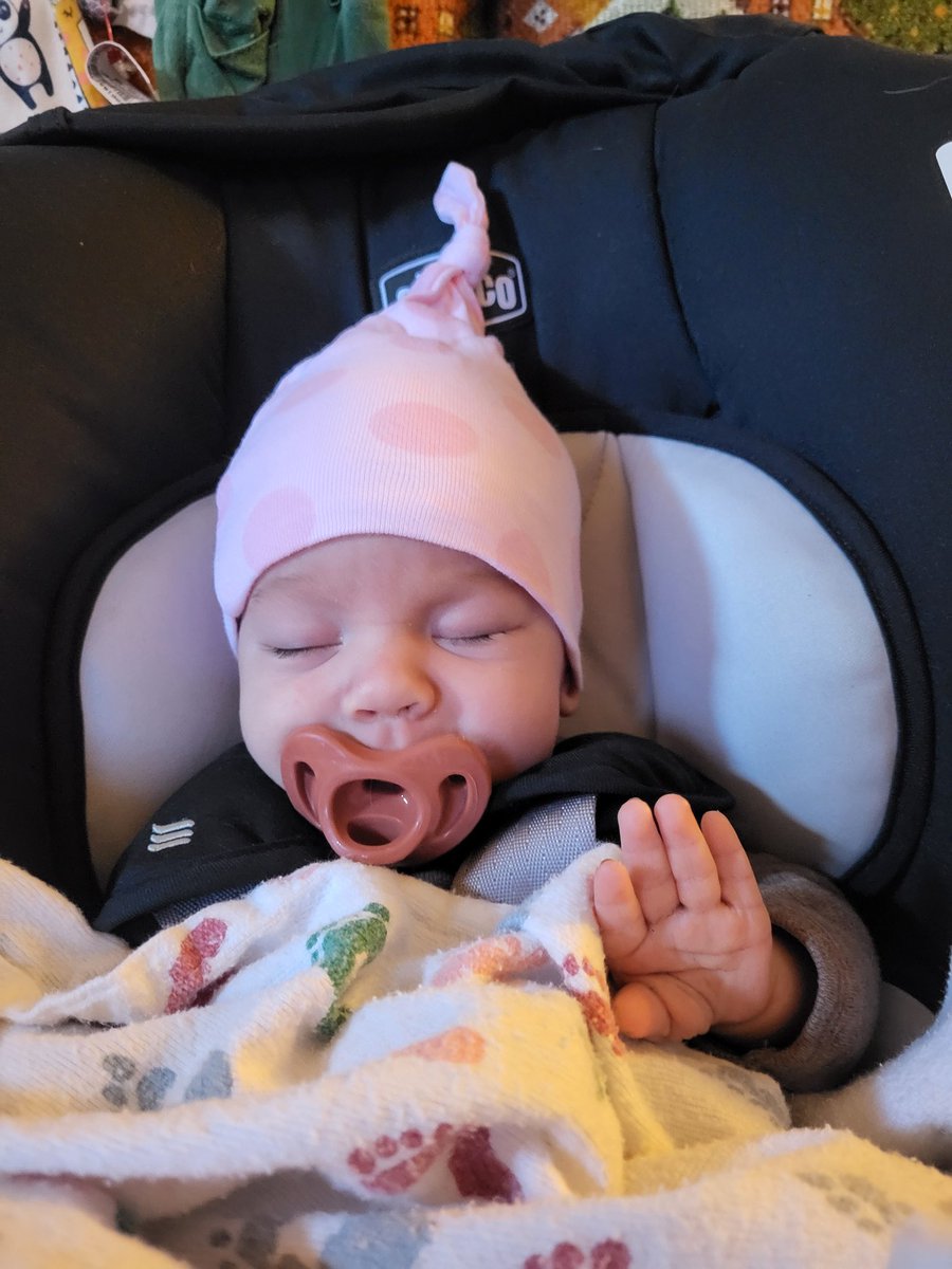 nrthsdnvelist's tweet image. 