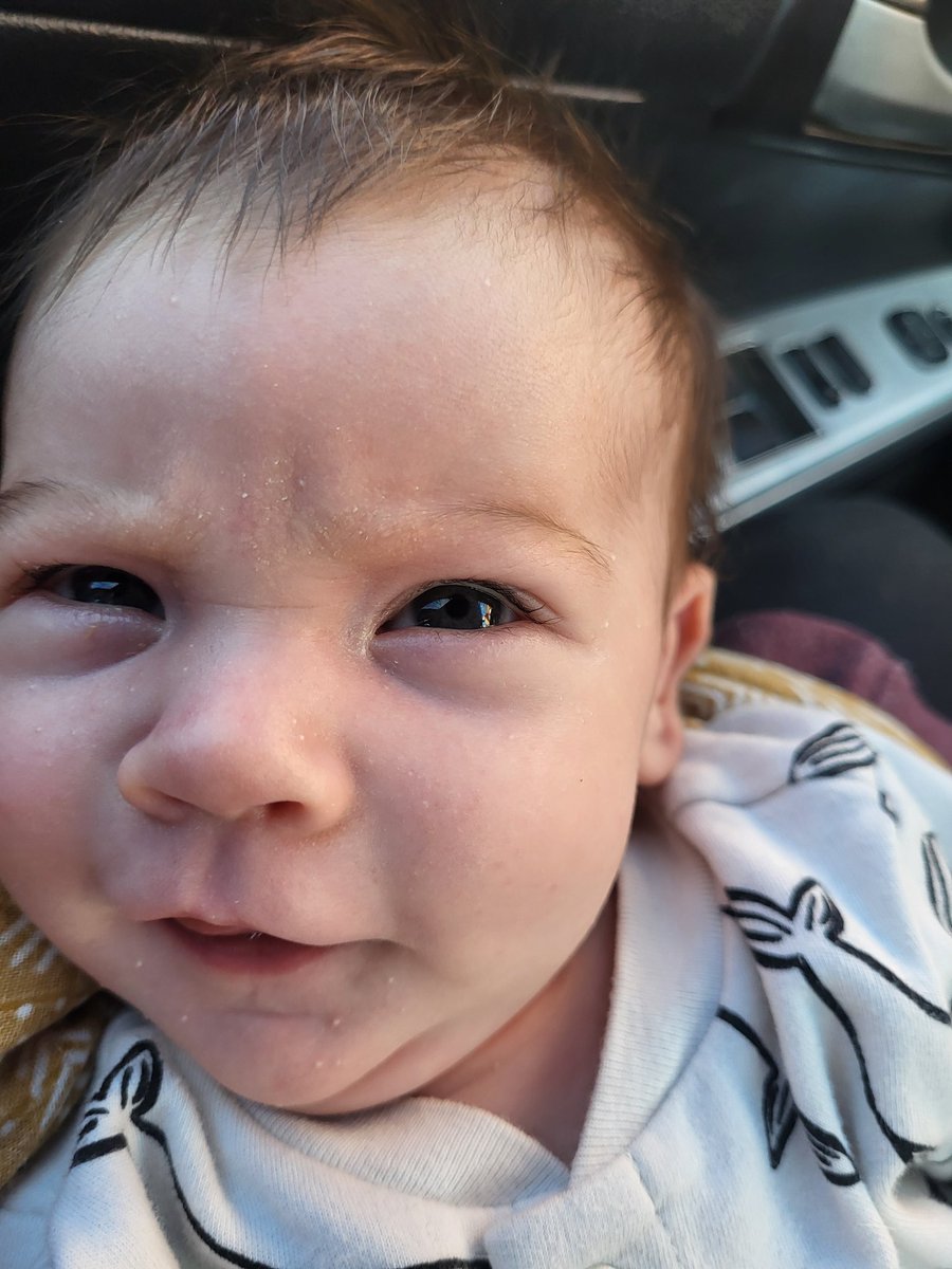 nrthsdnvelist's tweet image. 