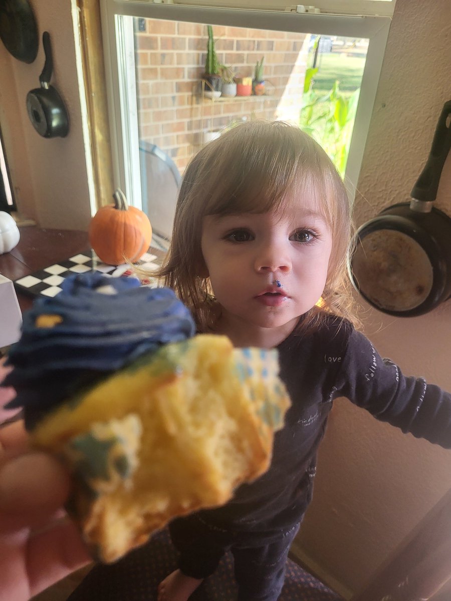 nrthsdnvelist's tweet image. 