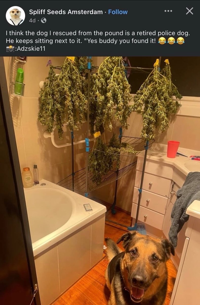 Images AI Could Never Recreate tweet media