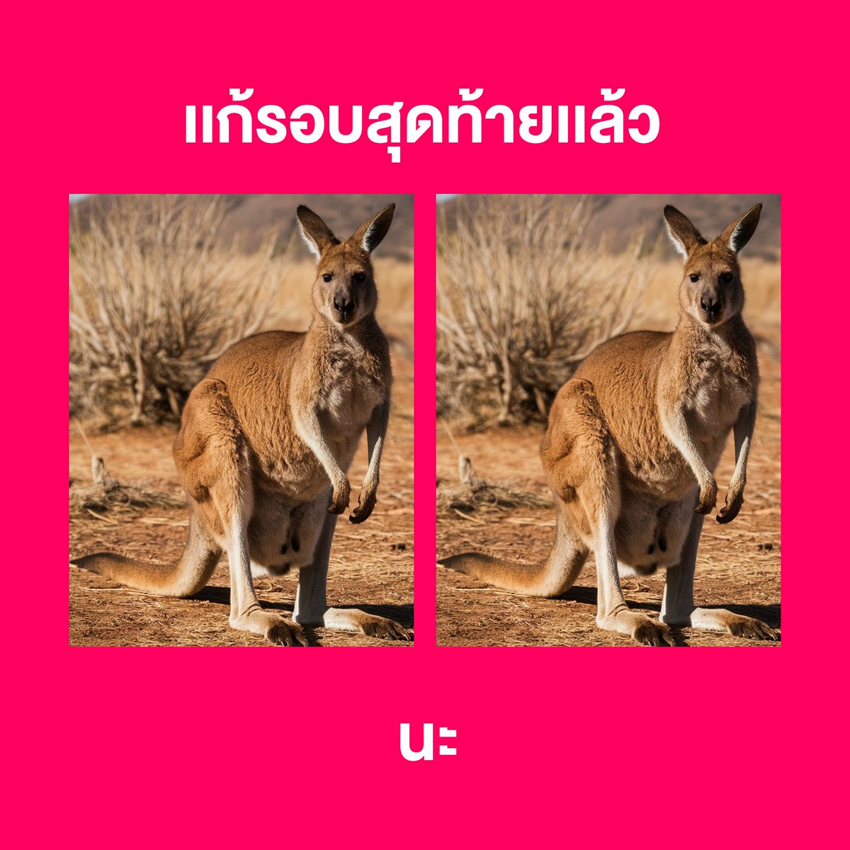 ปีที่แล้ว อะไรไม่ดีก็ 🐘 มันไปทำวันนี้ให้ดีที่สุด เริ่มจาก…ช้อปที่ลาซาด้าเลยยย เพราะราคาดีไม่ต้องเทียบบบ⏰‼️

🛒ช้อปลาซาด้า ราคาดีไม่ต้องเทียบ 
ไปช้อปเลย 📲 https://t.co/tX9H7K9W8F

#ลาซาด้าราคาดีไม่ต้องเทียบ #การันตีราคาถูก #LazadaTH https://t.co/zGRUBJWd5q