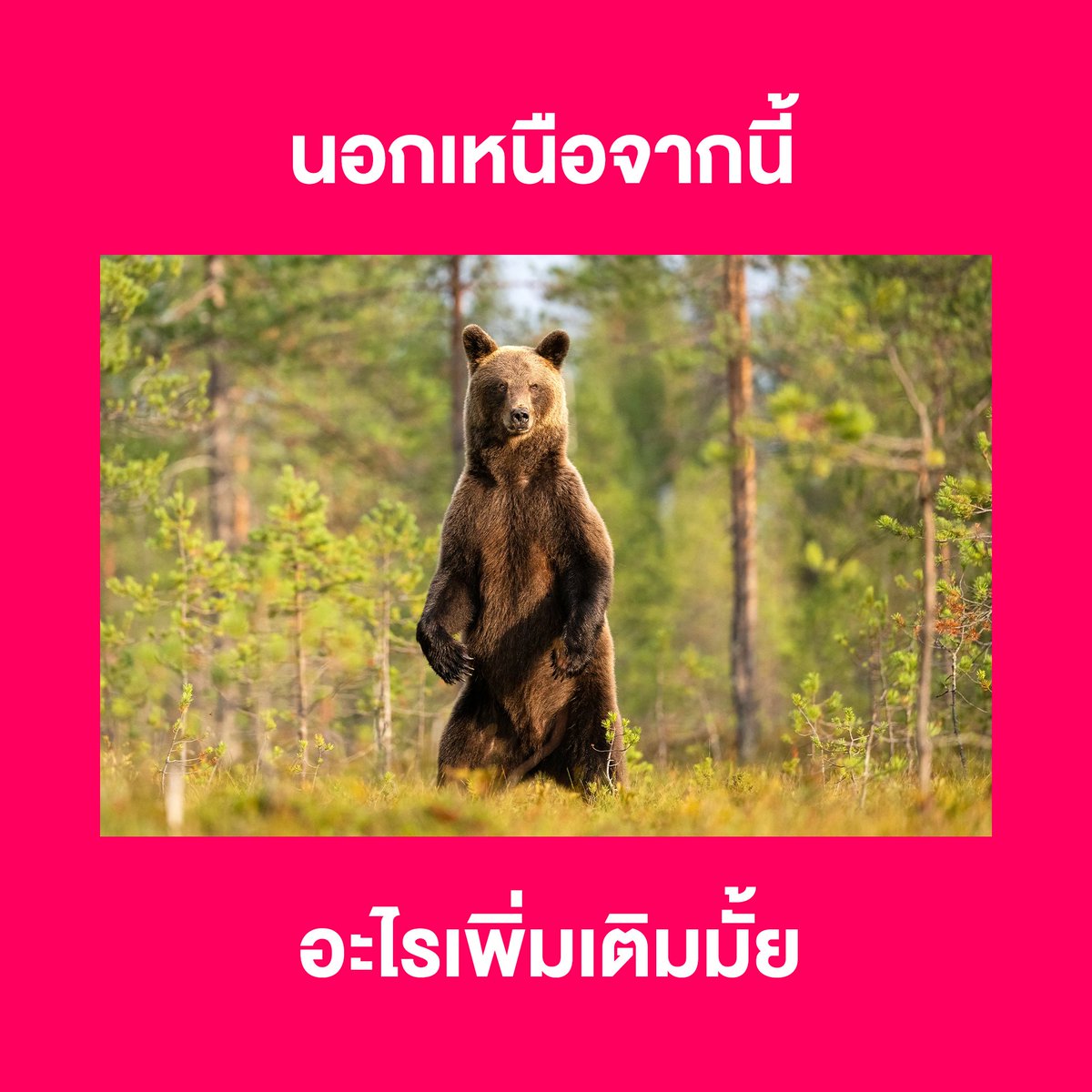 ปีที่แล้ว อะไรไม่ดีก็ 🐘 มันไปทำวันนี้ให้ดีที่สุด เริ่มจาก…ช้อปที่ลาซาด้าเลยยย เพราะราคาดีไม่ต้องเทียบบบ⏰‼️

🛒ช้อปลาซาด้า ราคาดีไม่ต้องเทียบ 
ไปช้อปเลย 📲 https://t.co/tX9H7K9W8F

#ลาซาด้าราคาดีไม่ต้องเทียบ #การันตีราคาถูก #LazadaTH https://t.co/zGRUBJWd5q