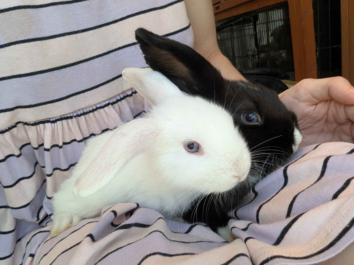 <a href="/wyz_1031/">nico</a> also here is suibian and bichen hehehee