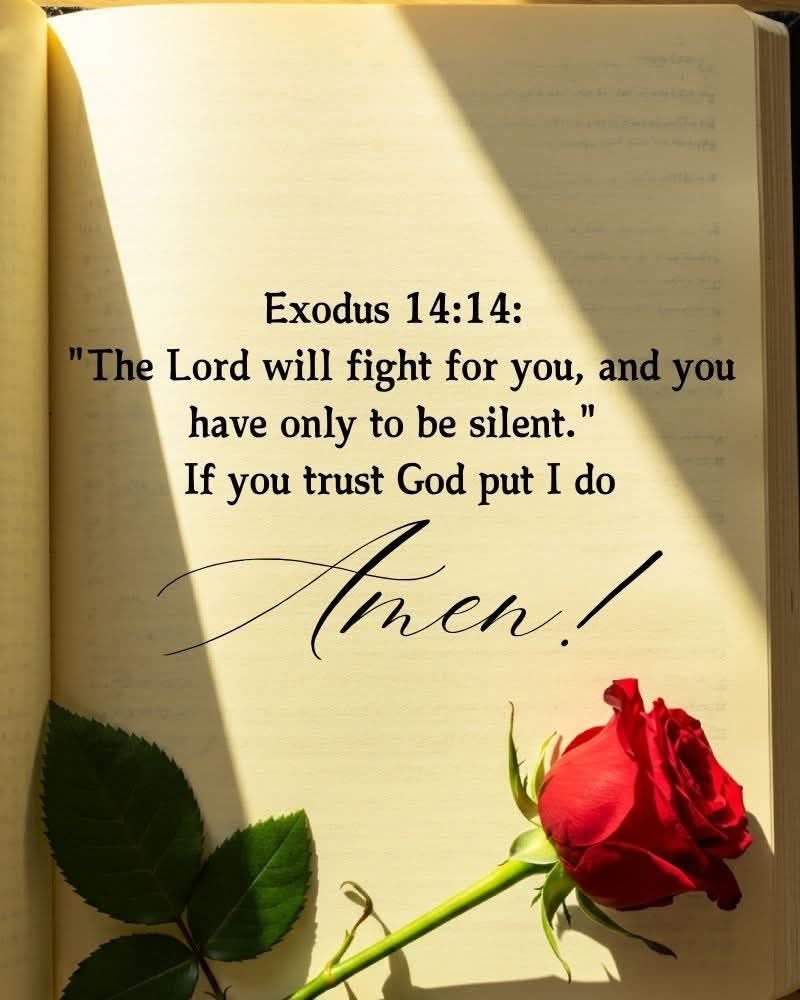 Sean (@christiscoming5) on Twitter photo 