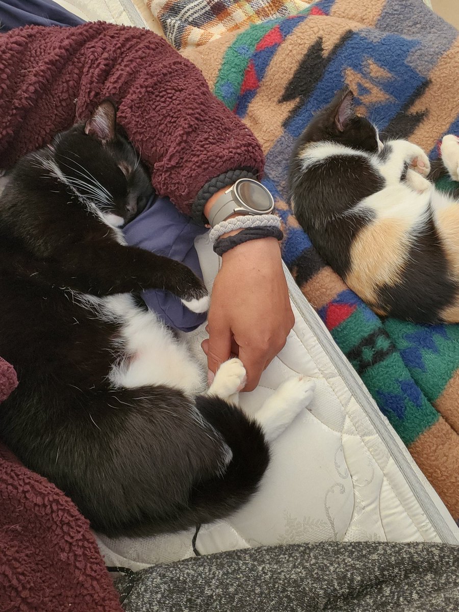 OptiMus_Dub's tweet image. I'll be teaching all types of welding techniques at my shop off Broadway called Come for the Wattage &amp;amp; Beads with Tig&amp;amp;Nig the Cats #mayne #holler #at #me 😂😂