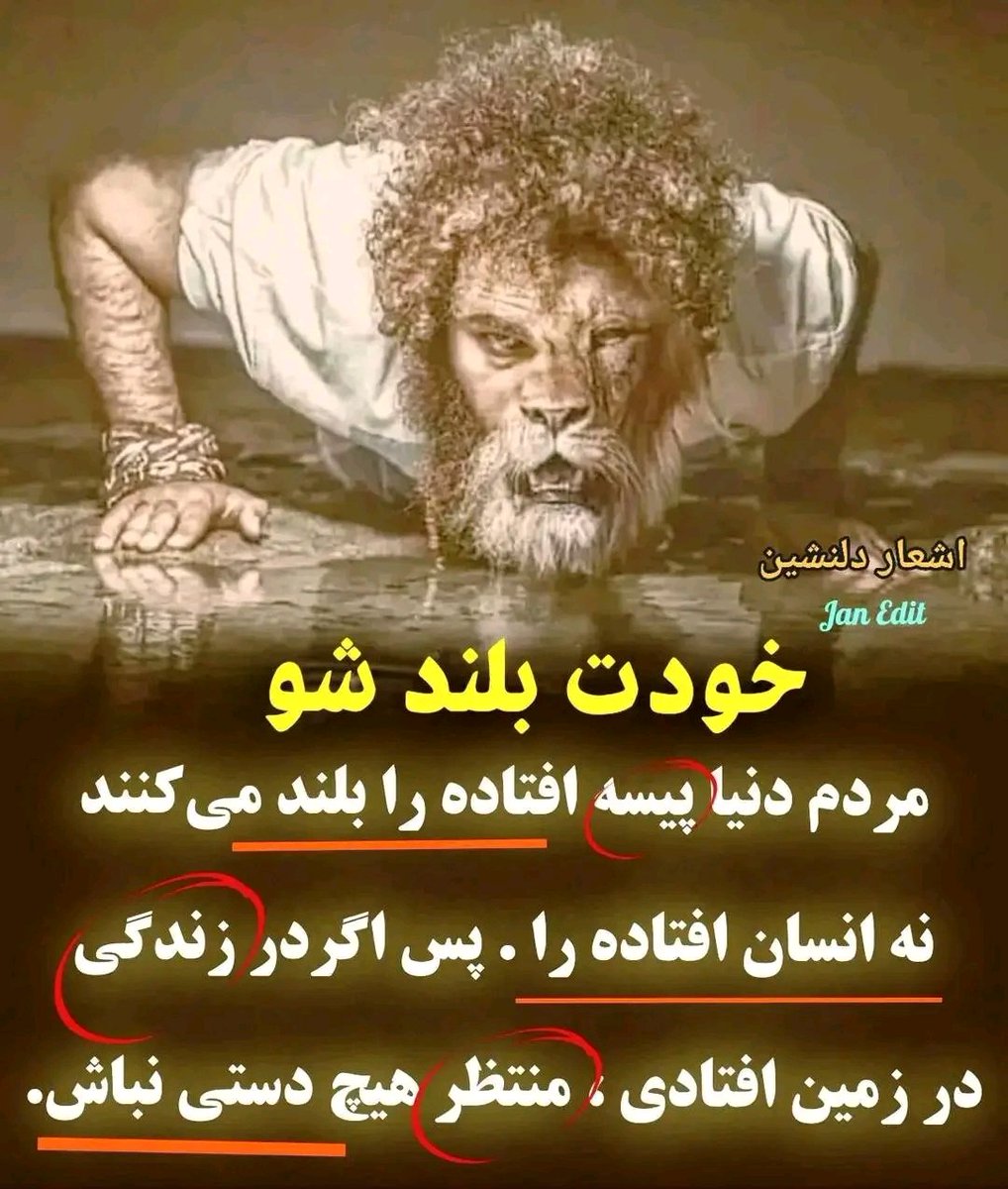 shakila navid mirzada (@shakilanavid) on Twitter photo 