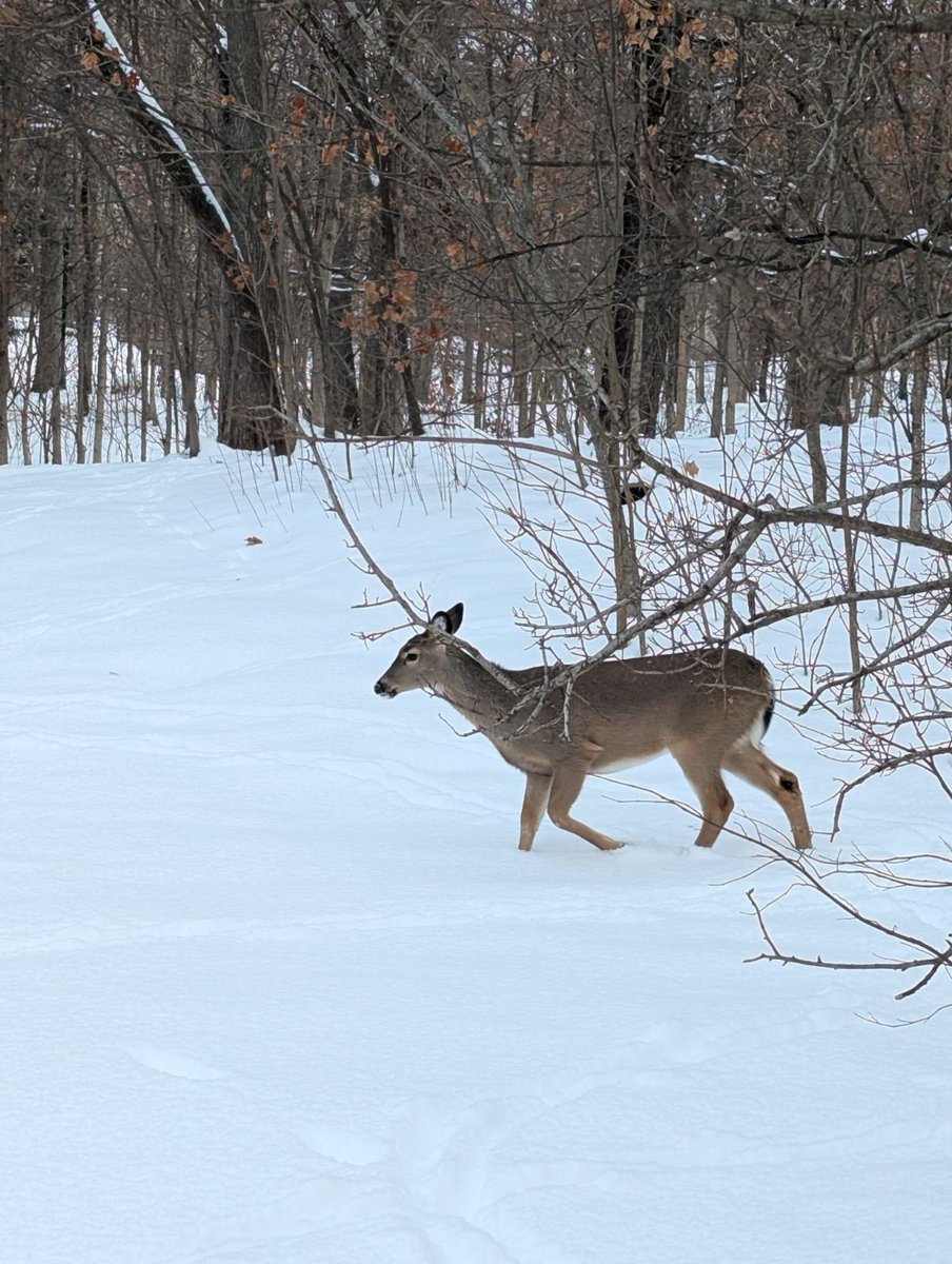 Me motivating myself for experiments and heading to lab thinking that 4th year of grad school coming to an end soon! 🥹