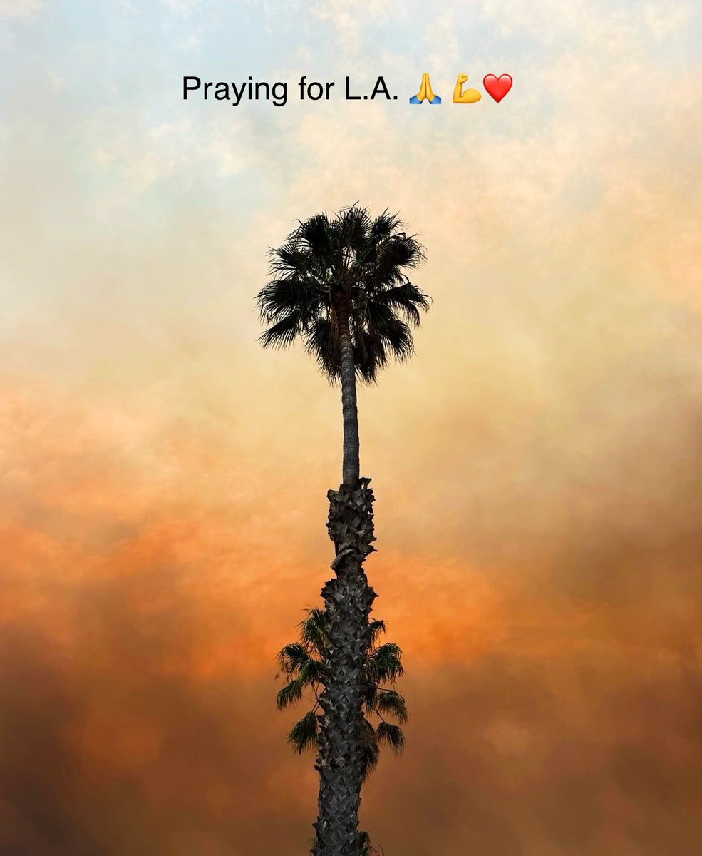 LPKPhotog's tweet image. 