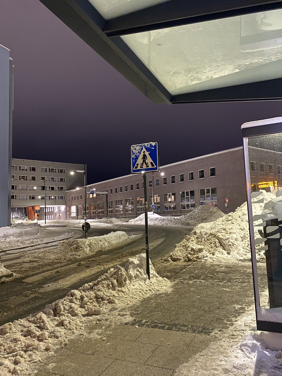 lo emocionante de vivir en noruega es que si pierdes el bus lo mismo te congelas así que cada día es una aventura