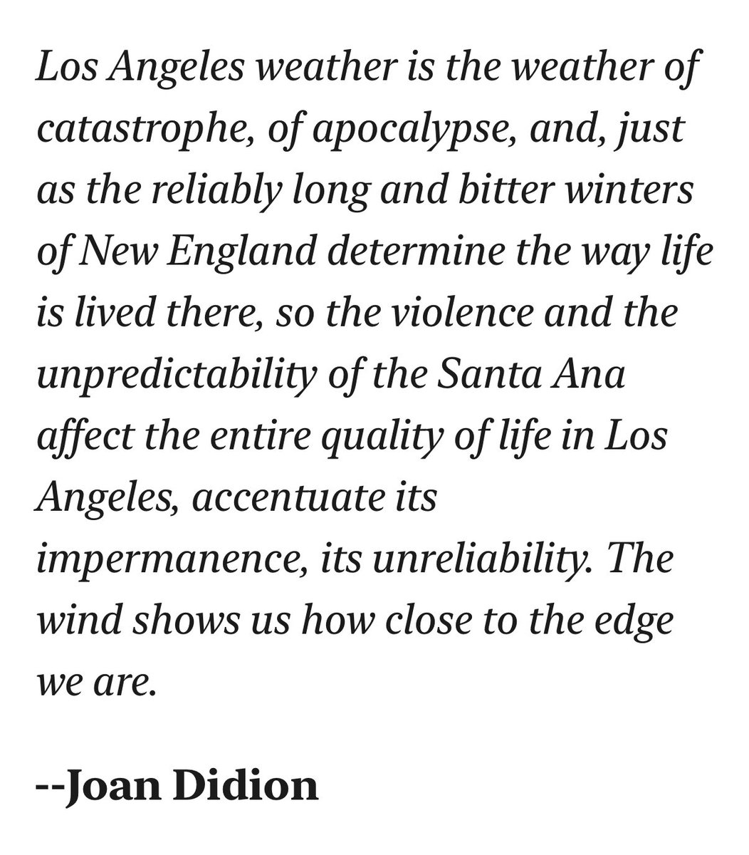 Tara Mann (@taramann) on Twitter photo 