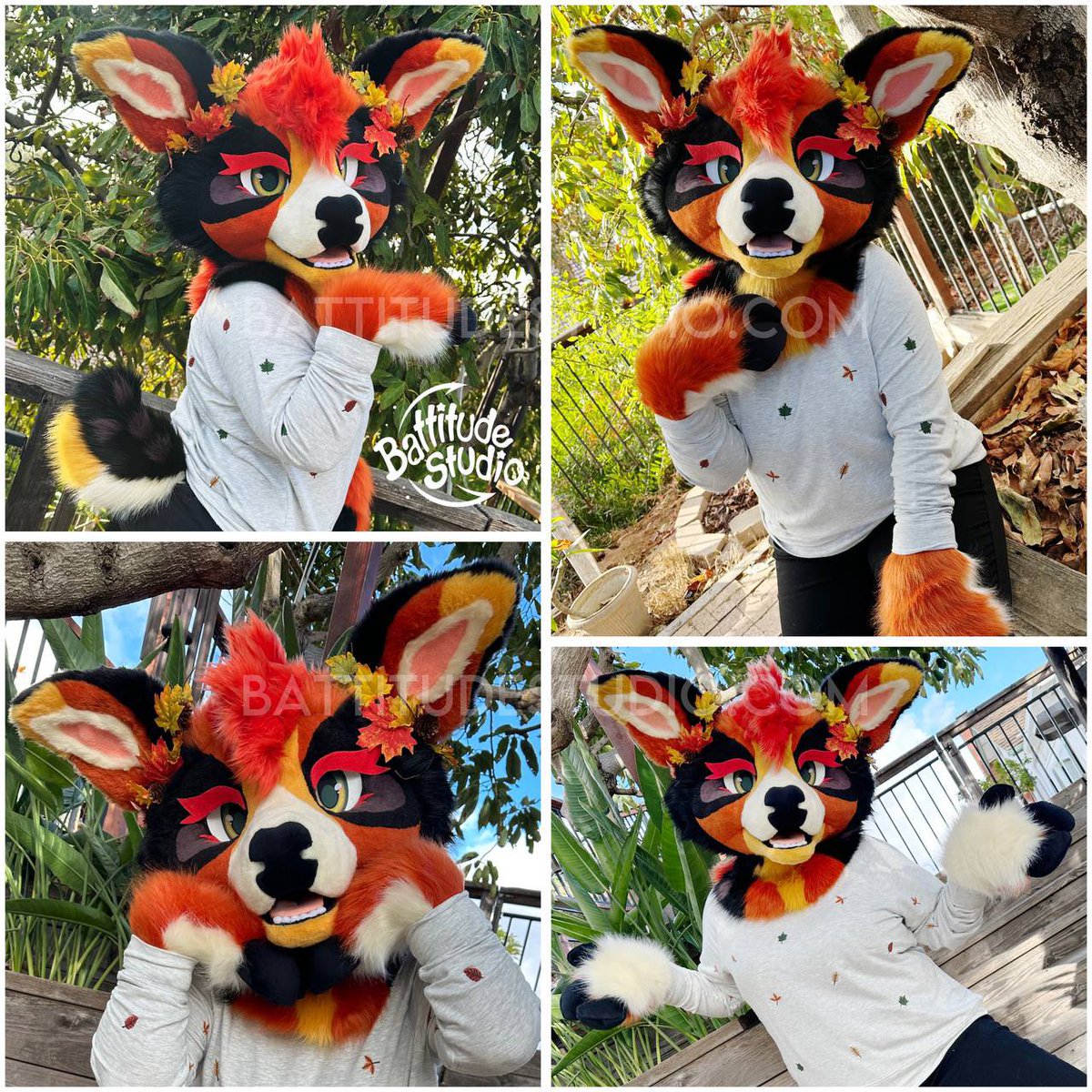 The harvest moon came late 🦌🌙🍁
This friend is looking for a home!

Info below 👇