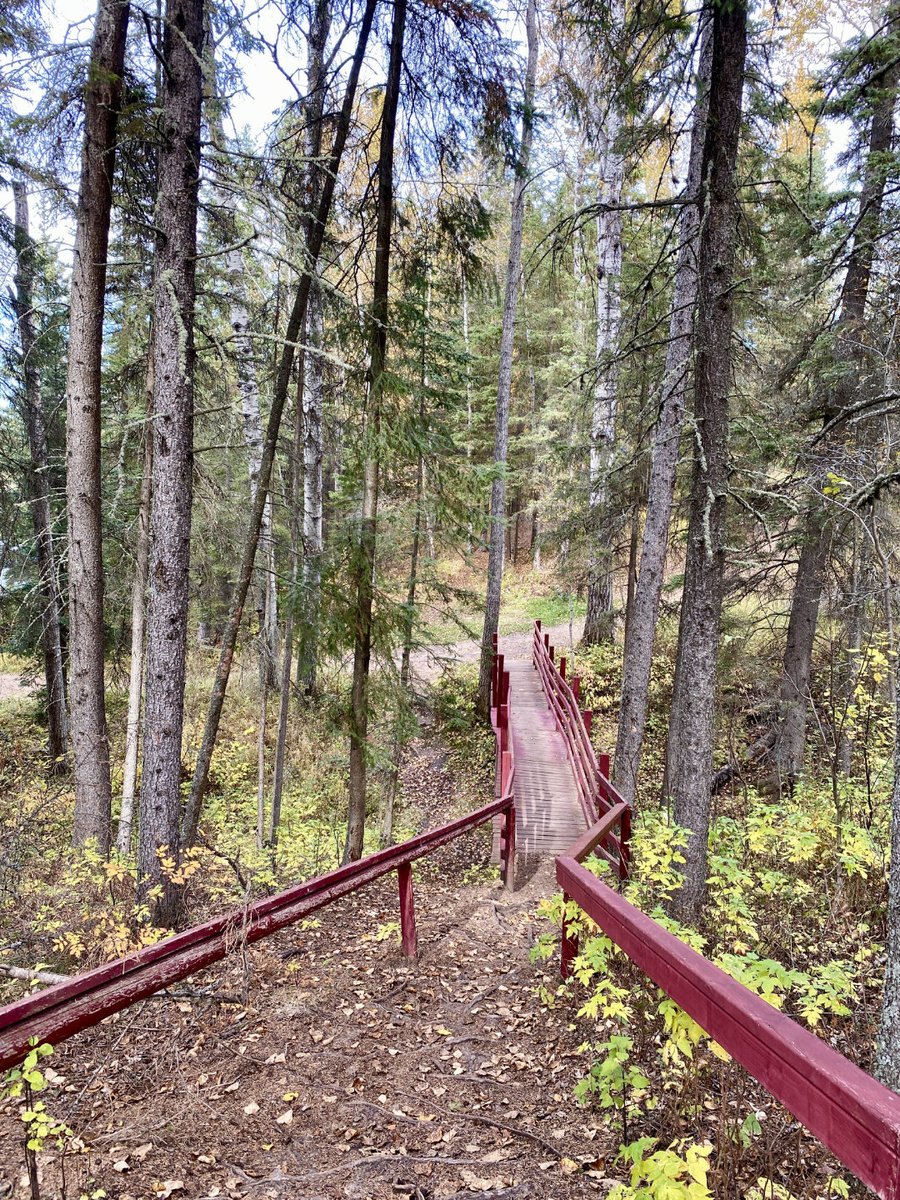 Seasonal Camping Applications for Hope Lake and Forfar Recreation Park are open! The application deadline is January 31st, 2025. #VisitTheAthabascaRegion #LiveLifeOutside

Visit the Athabasca County website for more information and to apply: athabascacounty.com/seasonal-campi…