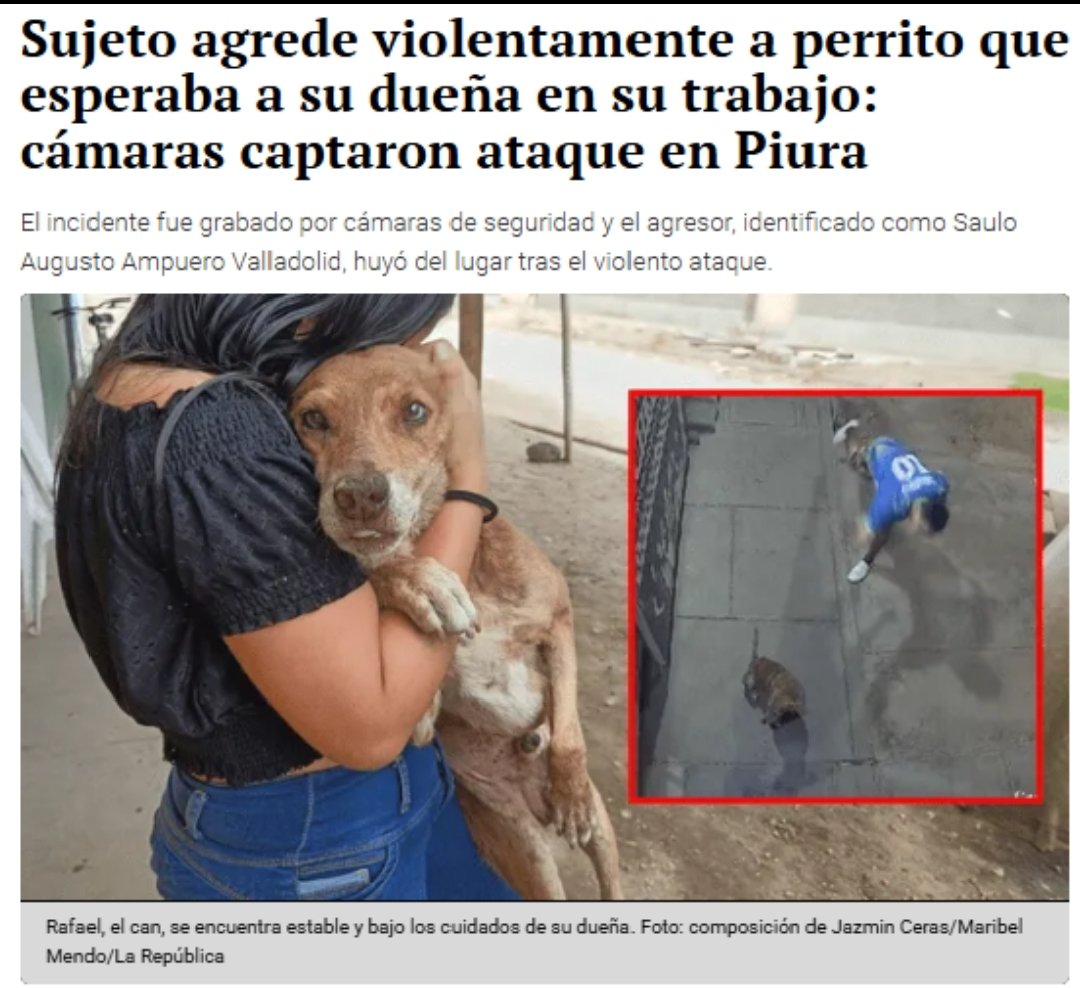 Lorein tweet media