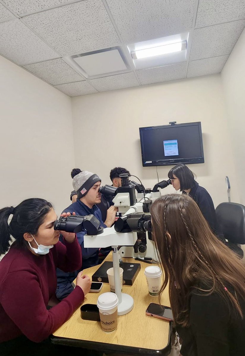 Trying to bring my co-residents to the Heme side of the Force #microscoperounds #hematology #hemeonc #MedTwitter #blood #leukemia 🩸