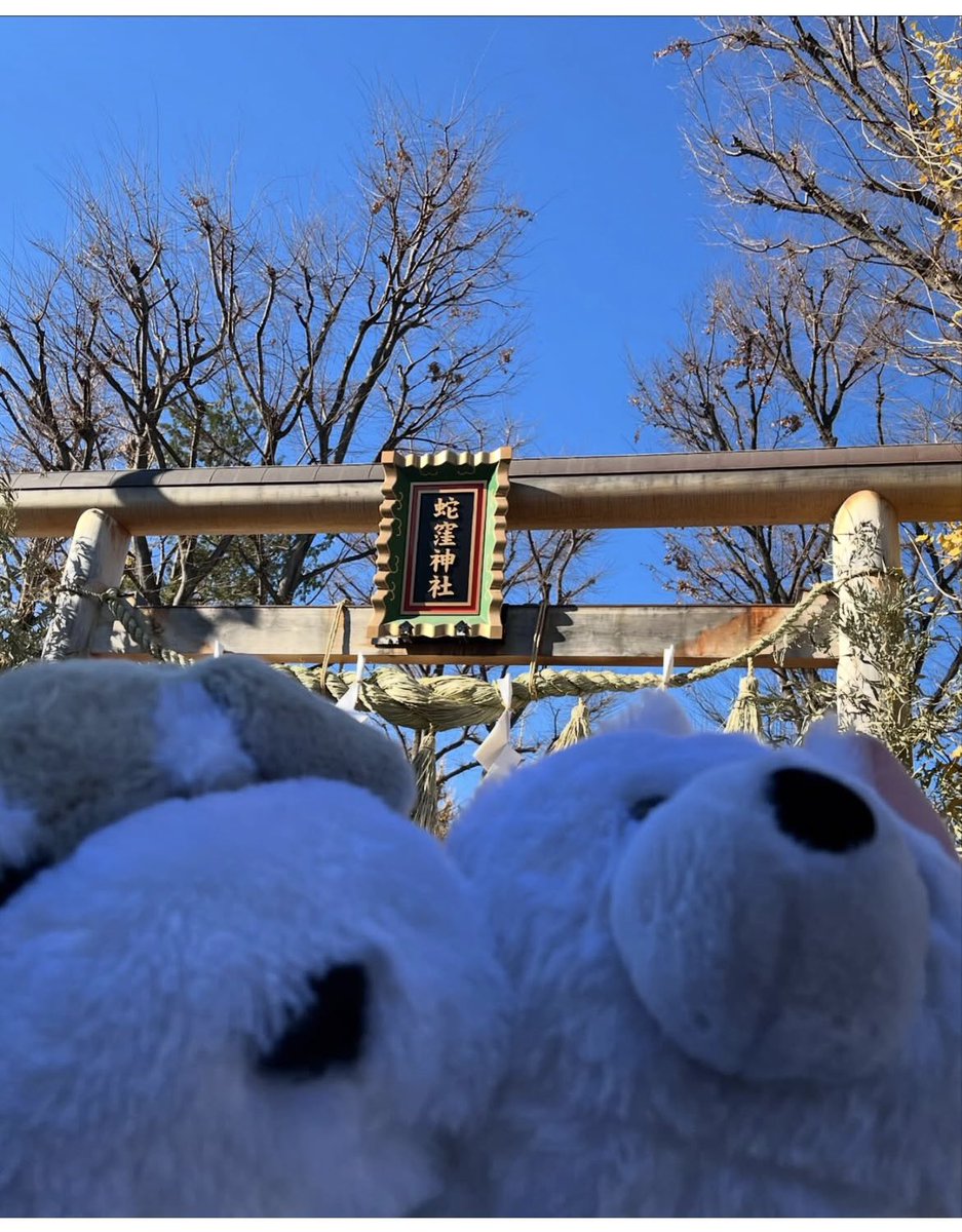 くったりサモエドくん - Search / X