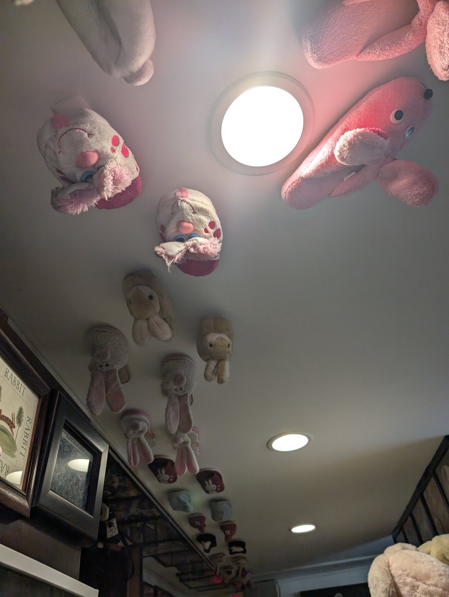 Shelby ⛸️ tweet media