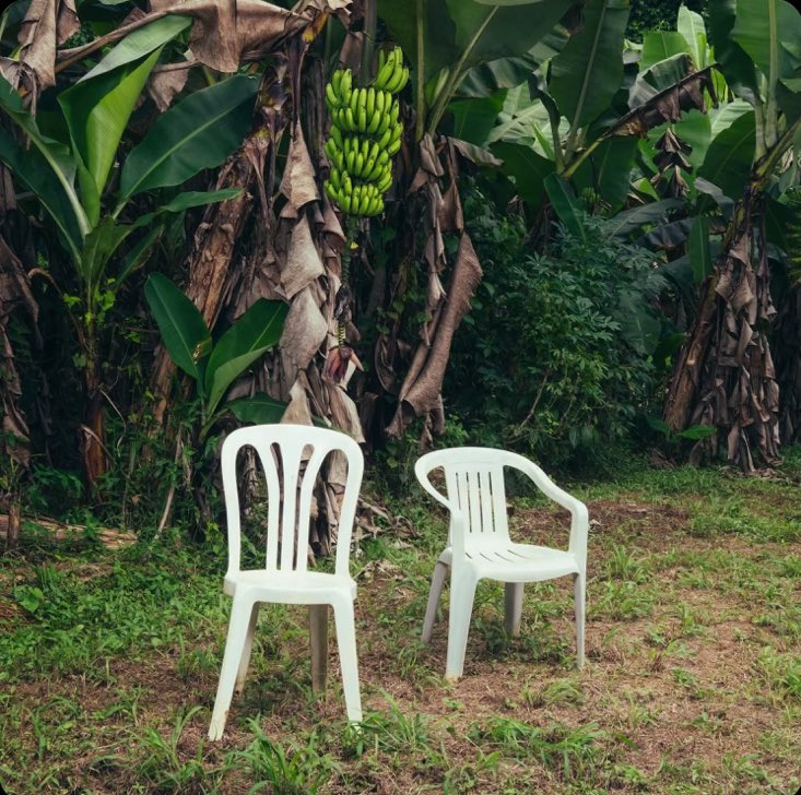 picky princess🦋 (@angiexpickles) on Twitter photo 