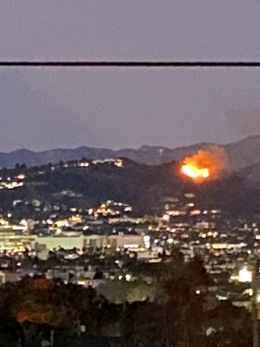 Samuel Guzik tweet media