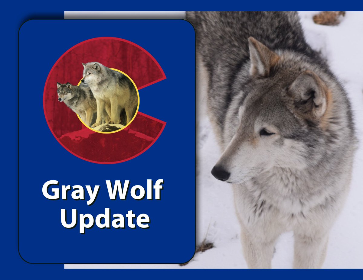 Colorado Parks and Wildlife tweet media