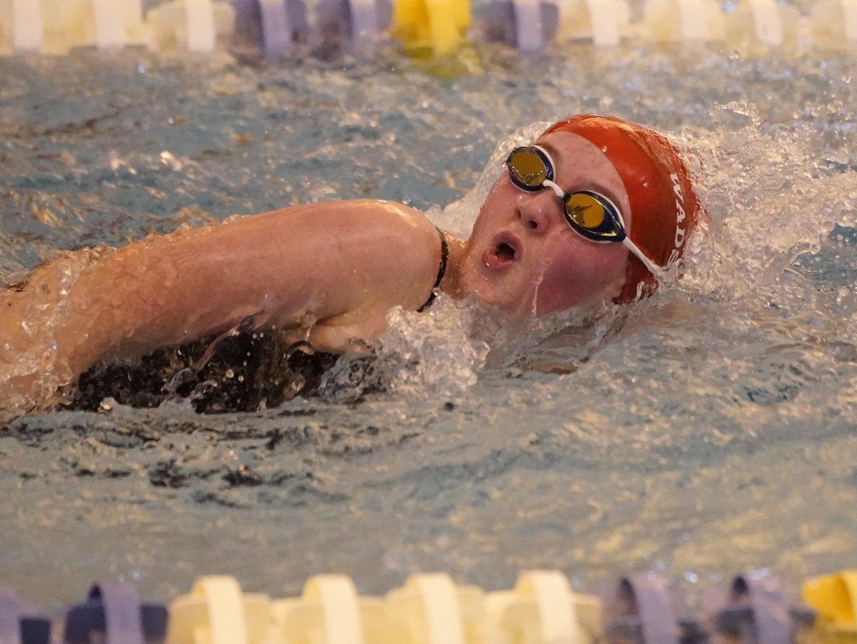 Roger Smith tweet media