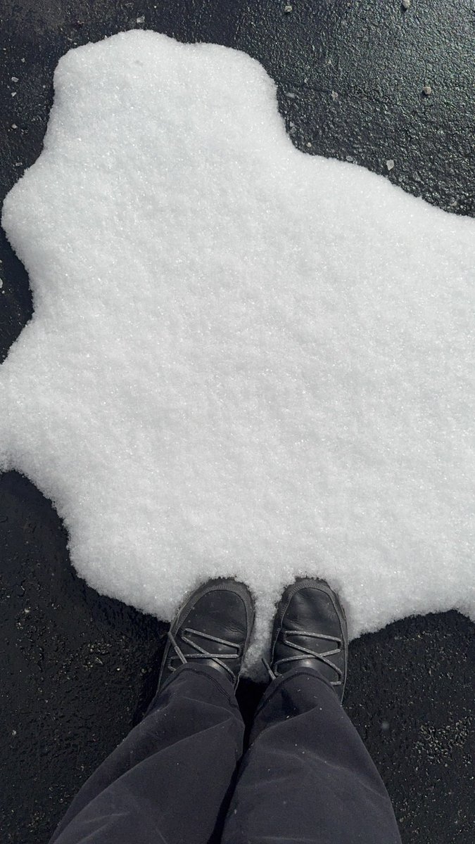 Ms. Lyons tweet media