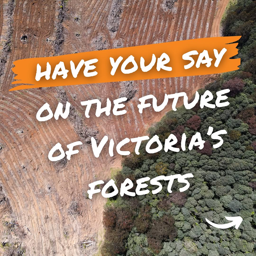 Ellen Sandell tweet media