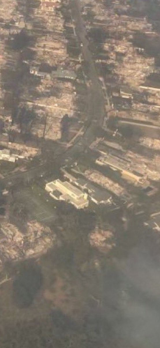 Alex Friedman 🤠 tweet media