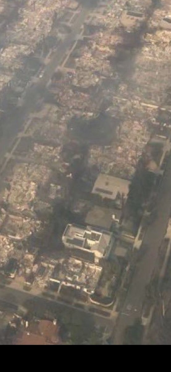 Alex Friedman 🤠 tweet media