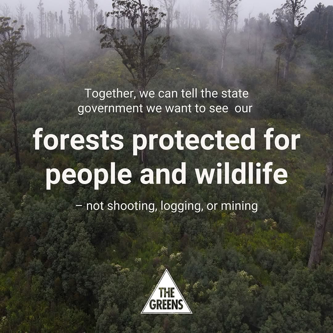 Ellen Sandell tweet media