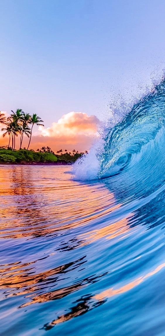 Aesthetics (@aestheticspost_) on Twitter photo 