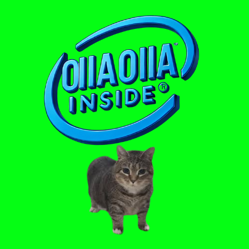 vjp011's tweet photo. I found an INSANE AI play on $SOL.

Its called $OIIAOIIA

Its a spinning cat that literally just spins. 

High Tech. Cute. Spinny.

@OIIAOIIA_COIN_ https://t.co/gTogLfQ8lQ