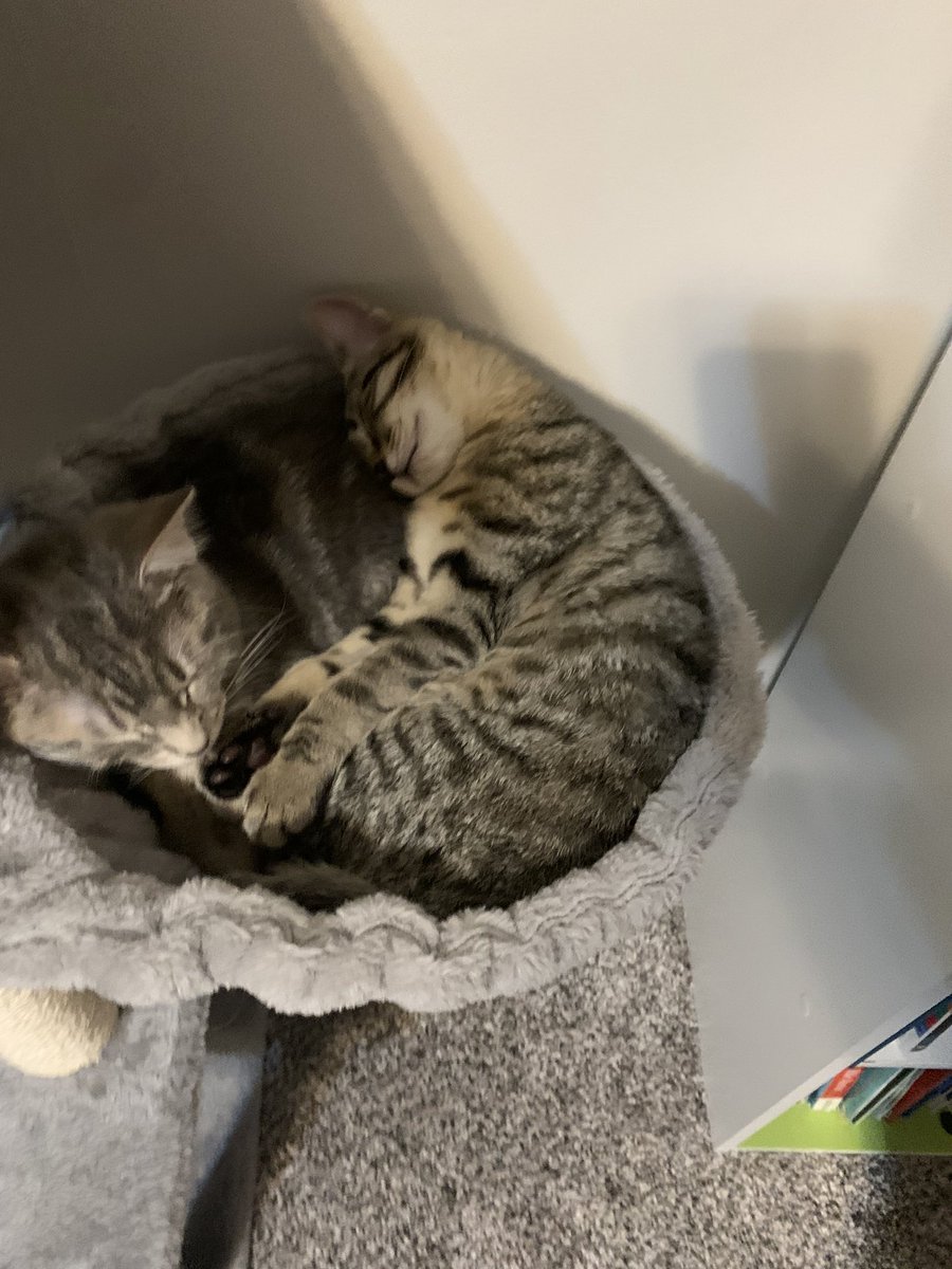 MamaPlaskett tweet media