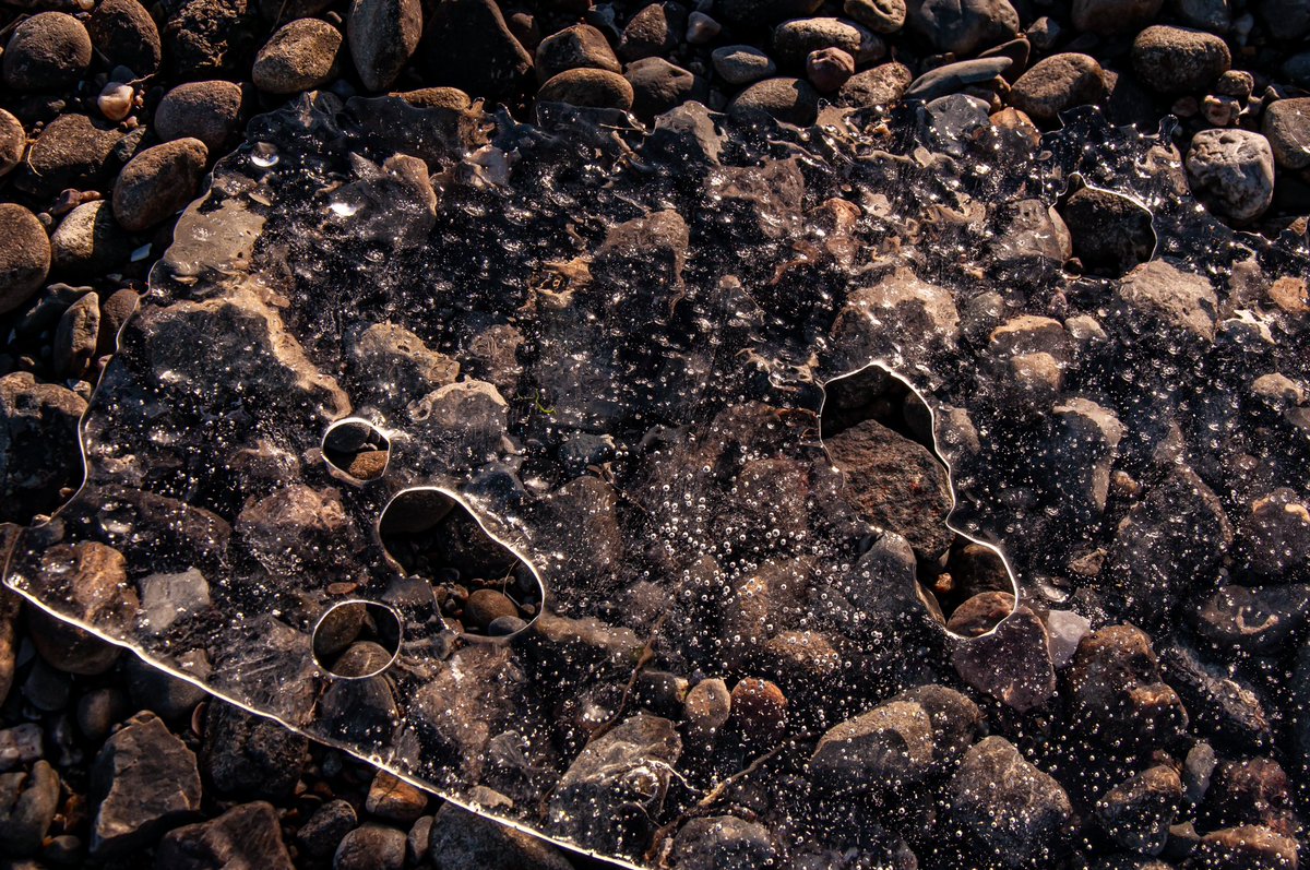 Fun ice in the cold
Sheets rampant at quite low tide 
And then foot prints!
<a href="/wpri12/">WPRI 12</a> 
<a href="/PinpointWXTeam/">Pinpoint Weather 12</a>